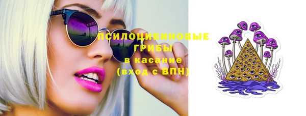 сатива Абинск