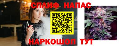 прущие грибы Кулебаки