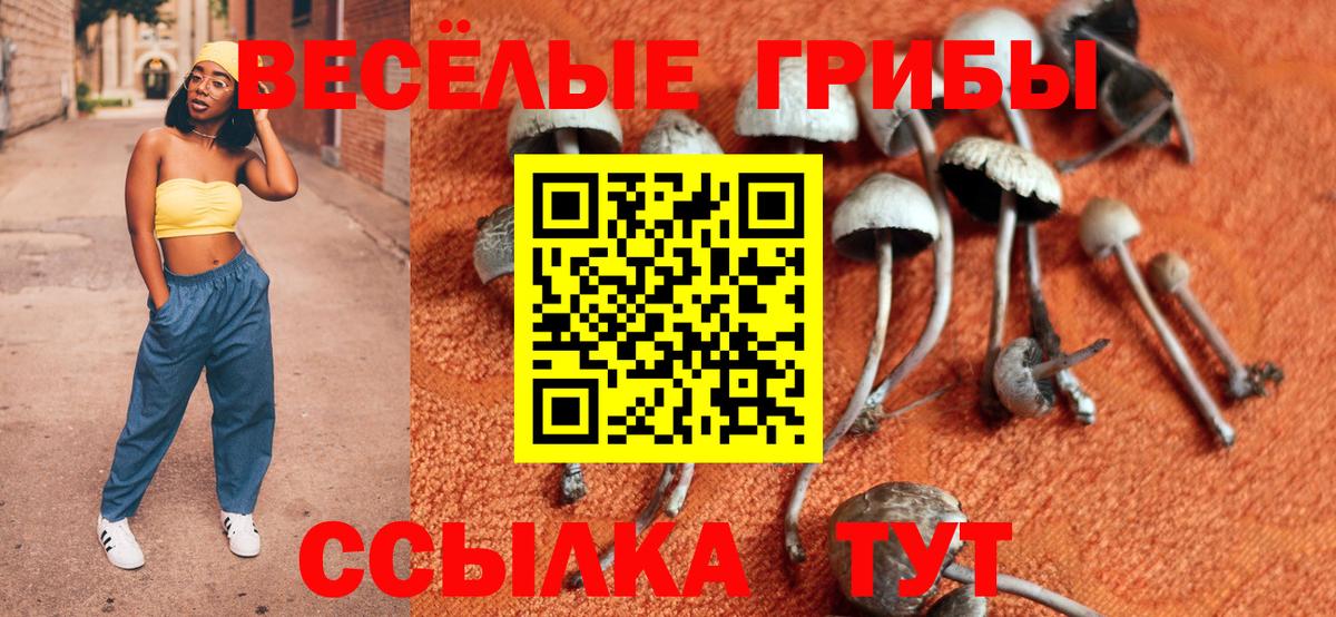 Галлюциногенные грибы GOLDEN TEACHER  Вход с VPN  Галлюциногенные грибы Cubensis  Киров 
